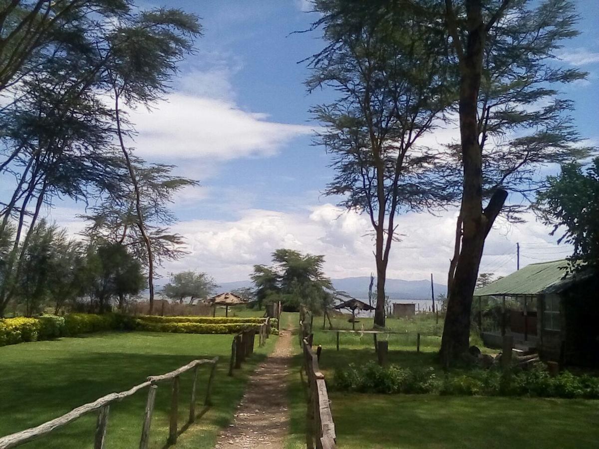 Hippo Safaris Resort Naivasha Exteriör bild