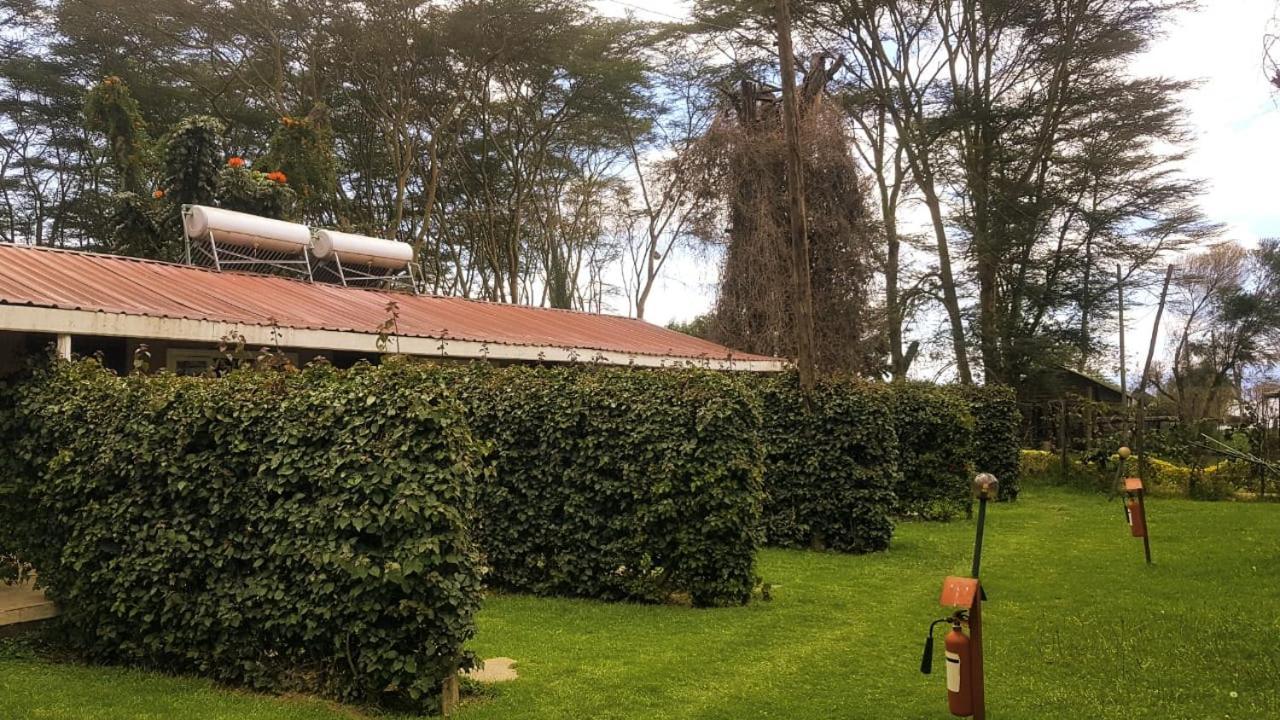 Hippo Safaris Resort Naivasha Exteriör bild